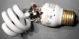 CFL Bulbs